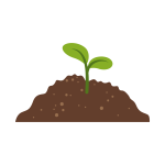 Seed TCB Seed TCB